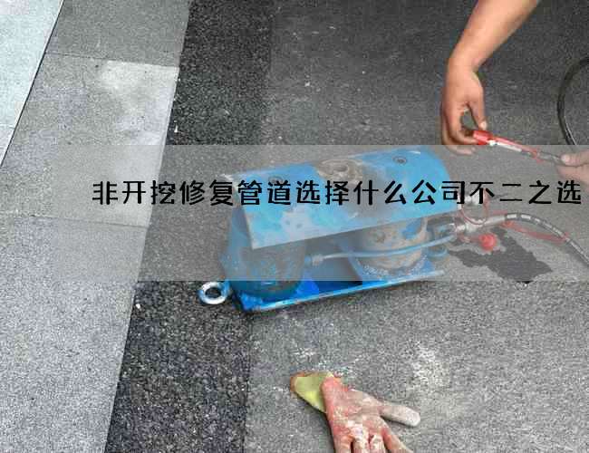 非开挖修复管道选择什么公司不二之选