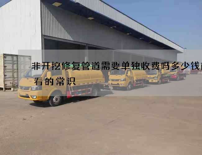 非开挖修复管道需要单独收费吗多少钱前必看的常识