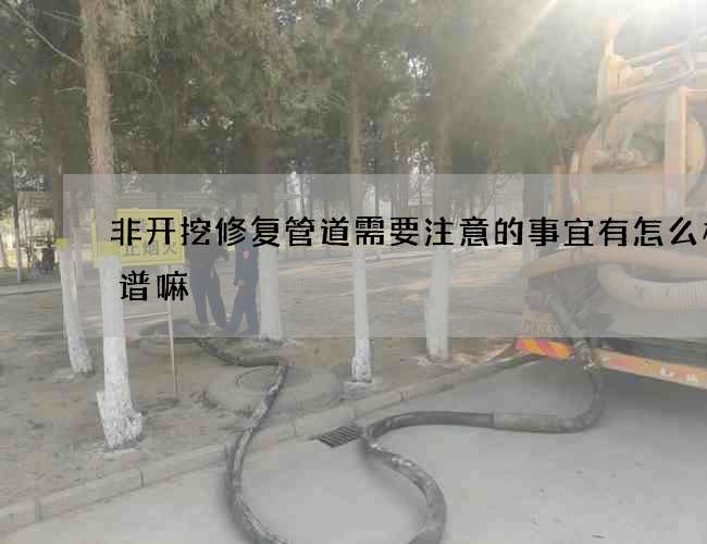 非开挖修复管道需要注意的事宜有怎么样靠谱嘛