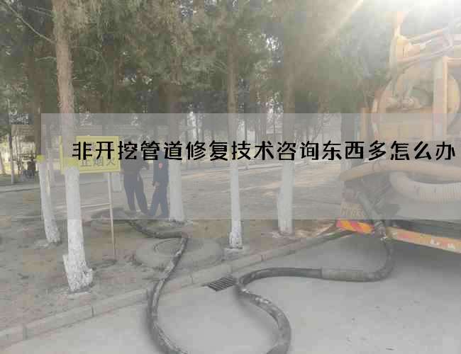 非开挖管道修复技术咨询东西多怎么办