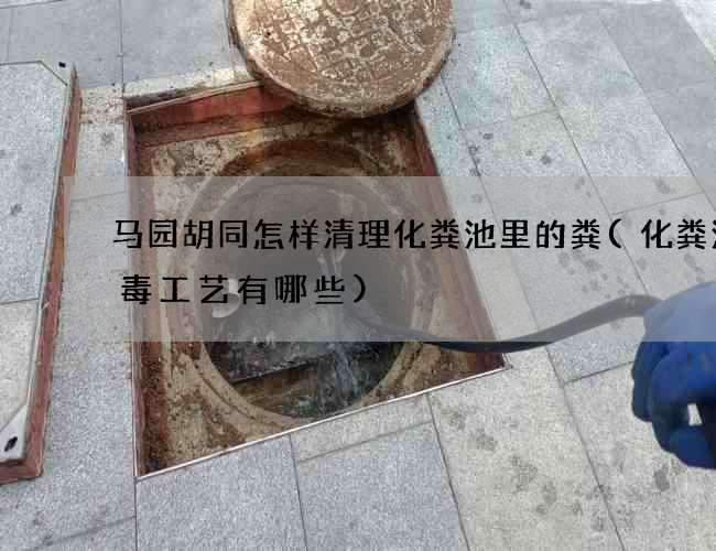 马园胡同怎样清理化粪池里的粪(化粪池消毒工艺有哪些)