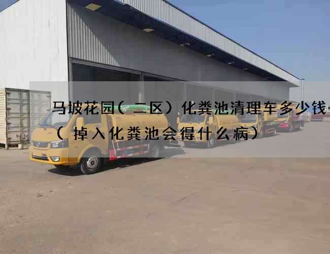 马坡花园(二区)化粪池清理车多少钱一车(掉入化粪池会得什么病)
