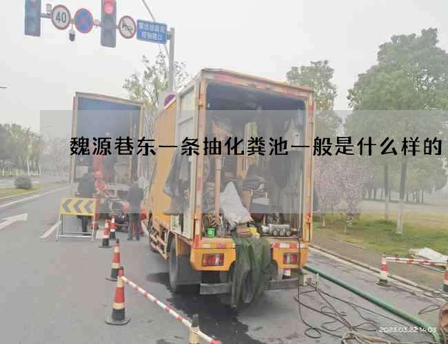 魏源巷东一条抽化粪池一般是什么样的