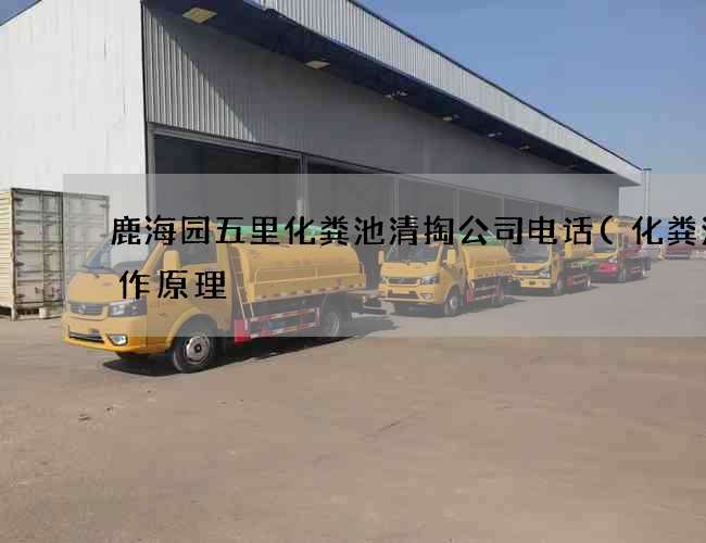 鹿海园五里化粪池清掏公司电话(化粪池工作原理) 鹿海园五里化粪池清掏公司电话(化粪池工作原理)