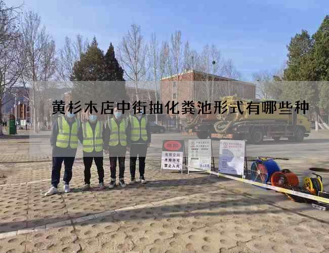 黄杉木店中街抽化粪池形式有哪些种
