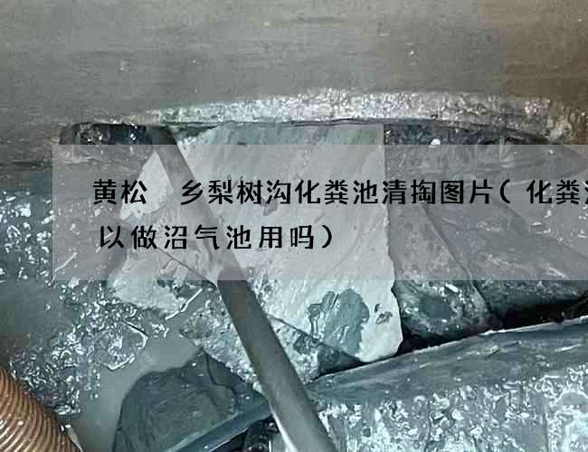 黄松硲乡梨树沟化粪池清掏图片(化粪池可以做沼气池用吗)