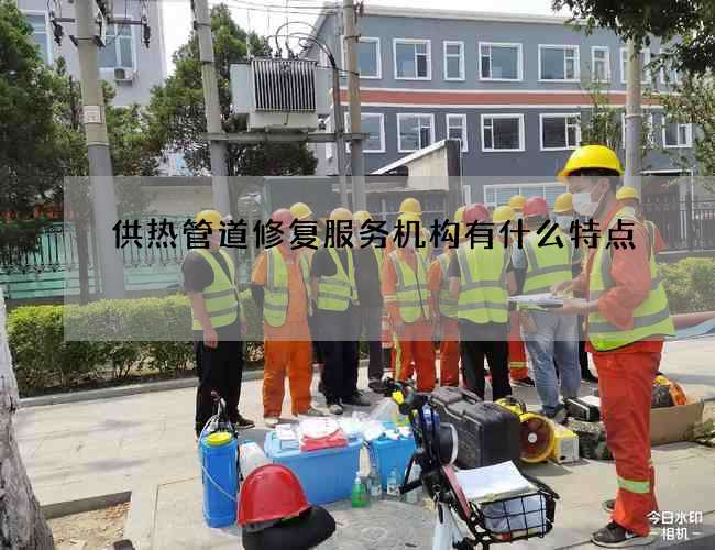 供热管道修复服务机构有什么特点