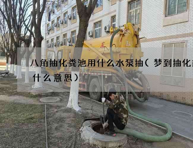 八角抽化粪池用什么水泵抽(梦到抽化粪池什么意思)