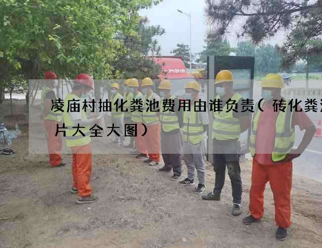 凌庙村抽化粪池费用由谁负责(砖化粪池图片大全大图)