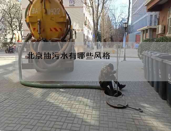 北京抽污水有哪些风格
