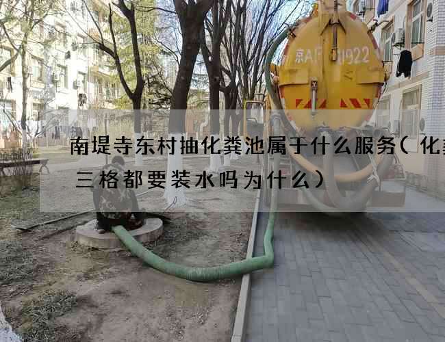 南堤寺东村抽化粪池属于什么服务(化粪池三格都要装水吗为什么)
