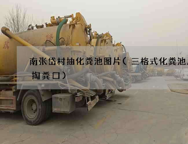 南张岱村抽化粪池图片(三格式化粪池几个掏粪口)
