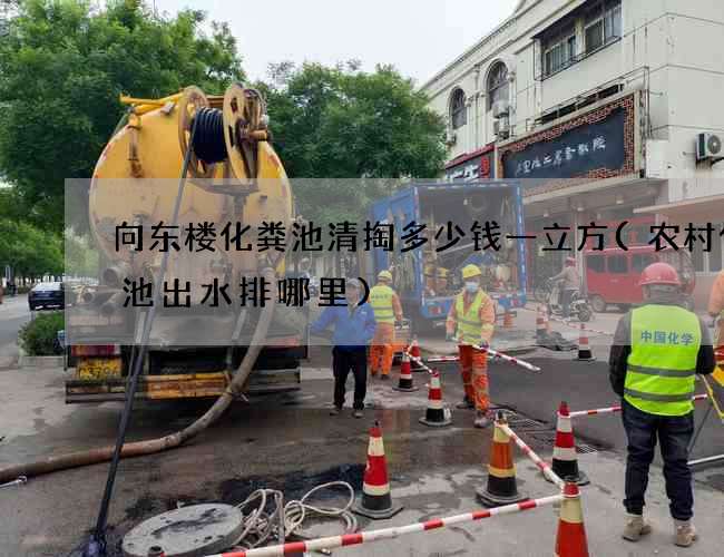 向东楼化粪池清掏多少钱一立方(农村化粪池出水排哪里)