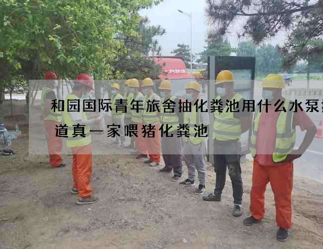 和园国际青年旅舍抽化粪池用什么水泵抽(道真一家喂猪化粪池) 和园国际青年旅舍抽化粪池用什么水泵抽(道真一家喂猪化粪池)