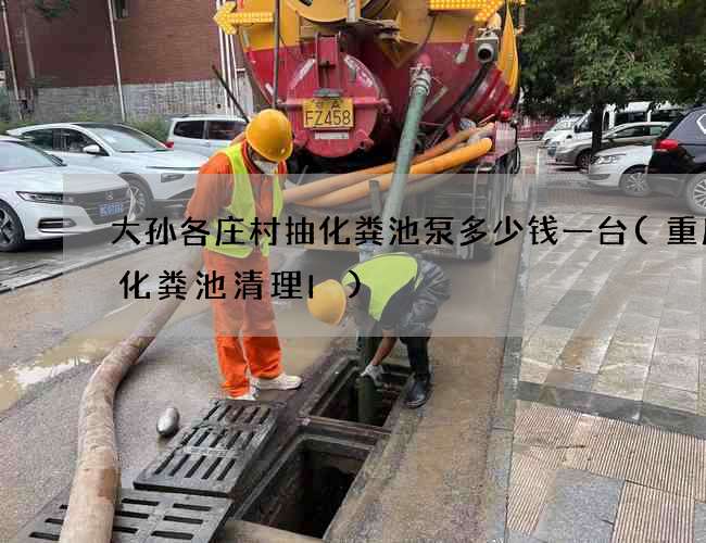 大孙各庄村抽化粪池泵多少钱一台(重庆市化粪池清理I)