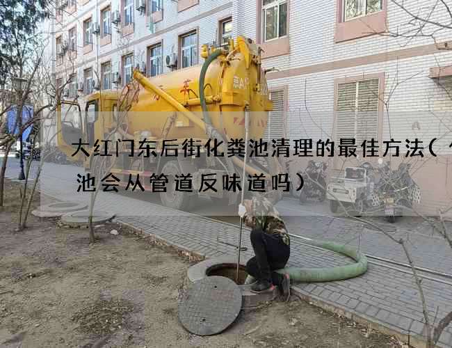 大红门东后街化粪池清理的最佳方法(化粪池会从管道反味道吗)