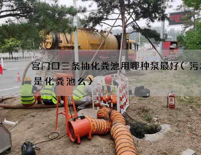 宫门口三条抽化粪池用哪种泵最好(污水井是化粪池么)