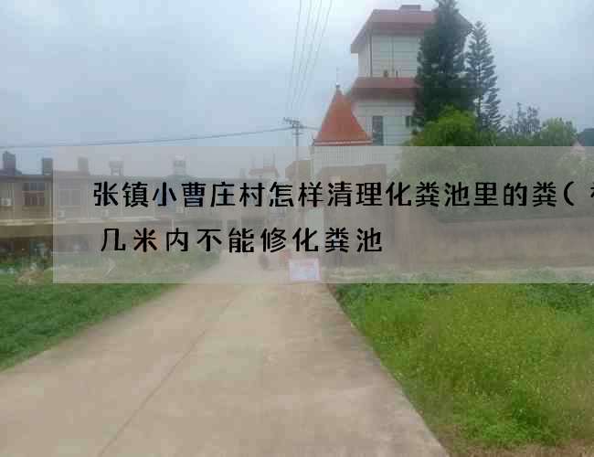张镇小曹庄村怎样清理化粪池里的粪(祖坟几米内不能修化粪池) 张镇小曹庄村怎样清理化粪池里的粪(祖坟几米内不能修化粪池)