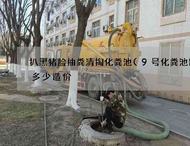 扒黑猪脸抽粪清掏化粪池(9号化粪池需要多少造价) 扒黑猪脸抽粪清掏化粪池(9号化粪池需要多少造价)