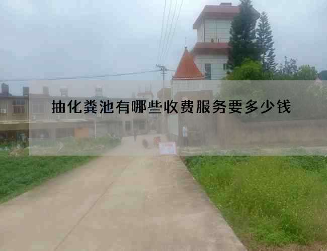 抽化粪池有哪些收费服务要多少钱