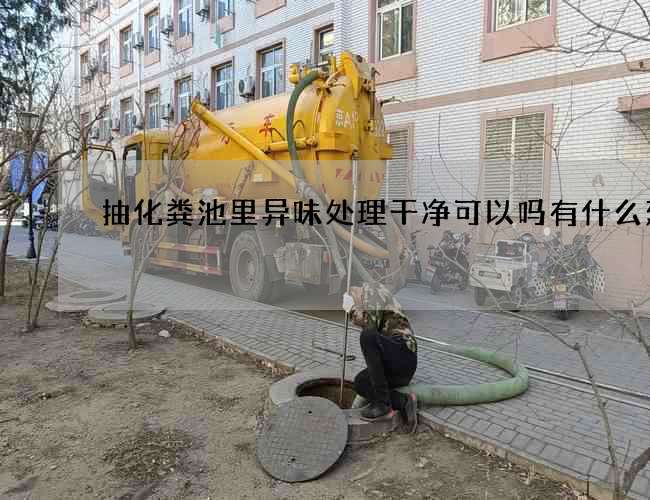 抽化粪池里异味处理干净可以吗有什么建议