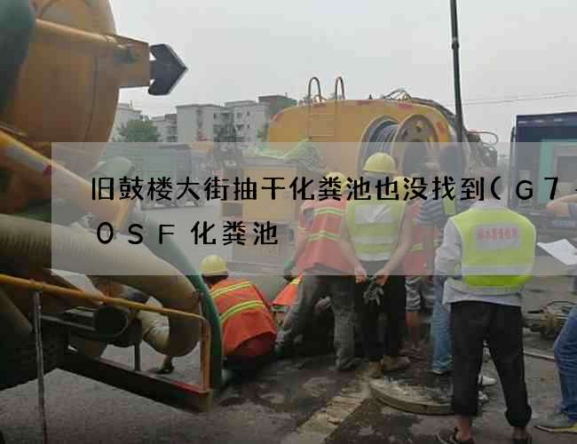 旧鼓楼大街抽干化粪池也没找到(G7—20SF化粪池) 旧鼓楼大街抽干化粪池也没找到(G7—20SF化粪池)