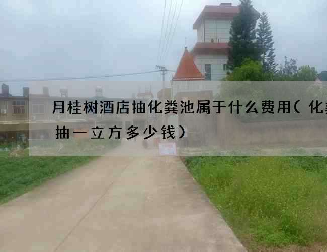 月桂树酒店抽化粪池属于什么费用(化粪池抽一立方多少钱)