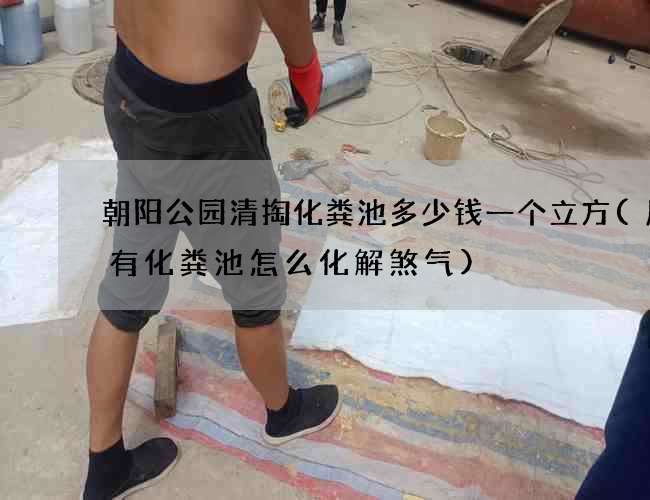 朝阳公园清掏化粪池多少钱一个立方(屋后有化粪池怎么化解煞气)