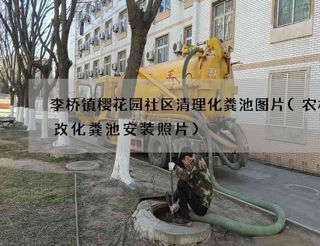 李桥镇樱花园社区清理化粪池图片(农村厕改化粪池安装照片)