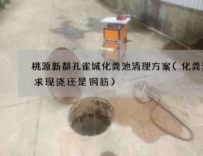 桃源新都孔雀城化粪池清理方案(化粪池要求现浇还是钢筋)