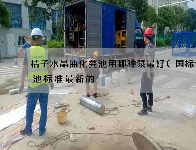 桔子水晶抽化粪池用哪种泵最好(国标化粪池标准最新的) 桔子水晶抽化粪池用哪种泵最好(国标化粪池标准最新的)