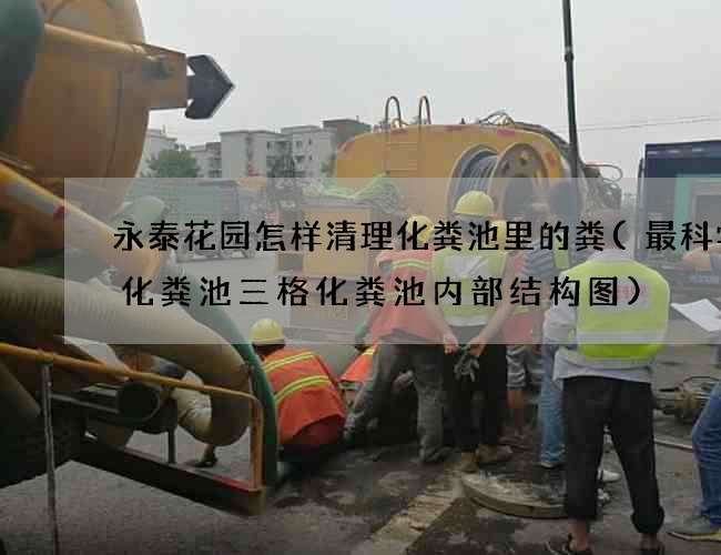 永泰花园怎样清理化粪池里的粪(最科学的化粪池三格化粪池内部结构图)