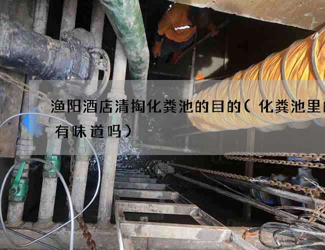 渔阳酒店清掏化粪池的目的(化粪池里的水有味道吗)