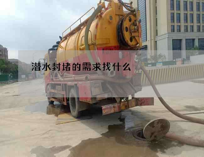 潜水封堵的需求找什么