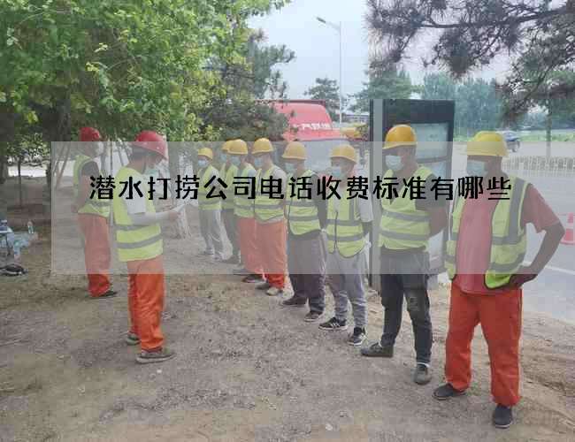 潜水打捞公司电话收费标准有哪些