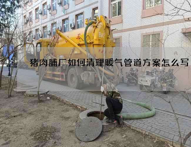 猪肉脯厂如何清理暖气管道方案怎么写
