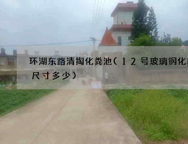 环湖东路清掏化粪池(12号玻璃钢化粪池尺寸多少)