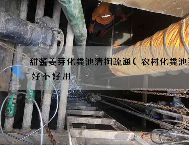 甜酱姜芽化粪池清掏疏通(农村化粪池到底好不好用) 甜酱姜芽化粪池清掏疏通(农村化粪池到底好不好用)
