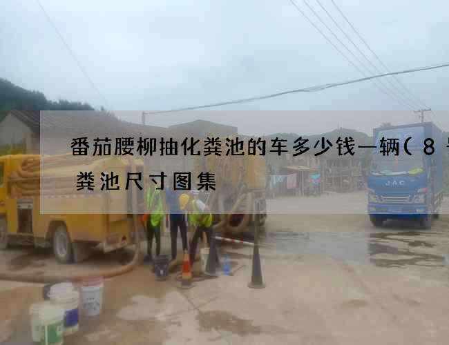 番茄腰柳抽化粪池的车多少钱一辆(8号化粪池尺寸图集) 番茄腰柳抽化粪池的车多少钱一辆(8号化粪池尺寸图集)