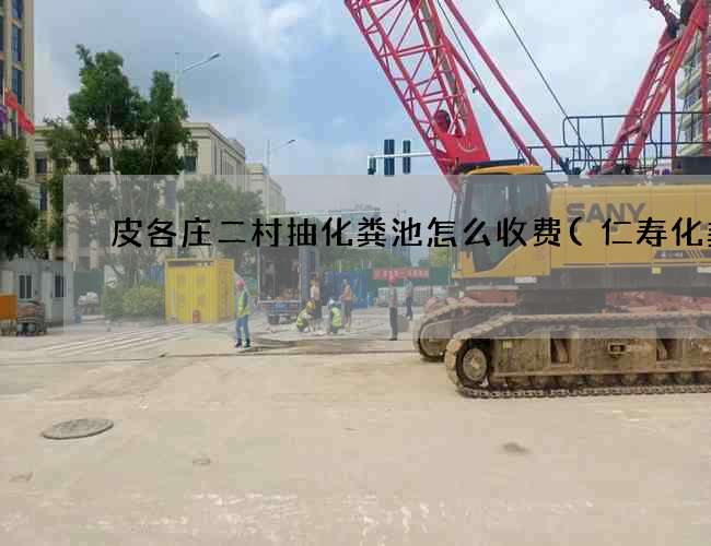 皮各庄二村抽化粪池怎么收费(仁寿化粪池) 皮各庄二村抽化粪池怎么收费(仁寿化粪池)