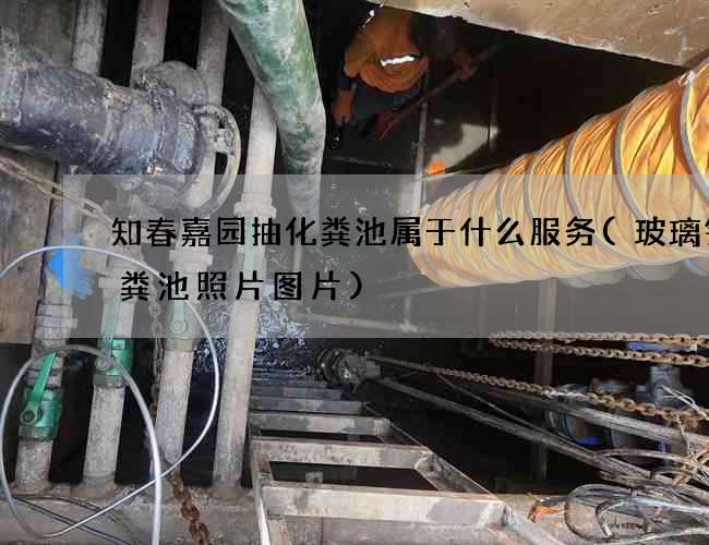 知春嘉园抽化粪池属于什么服务(玻璃钢化粪池照片图片)