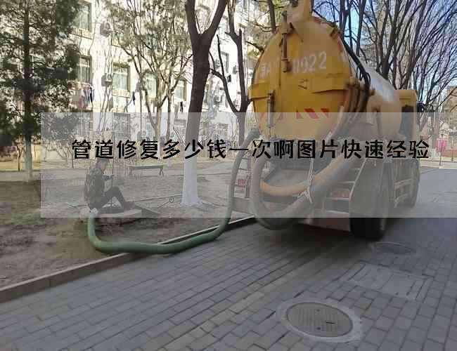 管道修复多少钱一次啊图片快速经验
