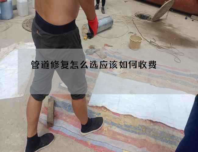 管道修复怎么选应该如何收费