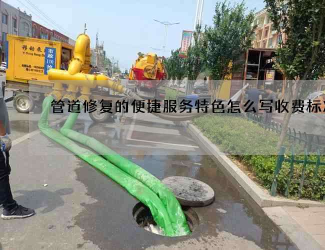 管道修复的便捷服务特色怎么写收费标准