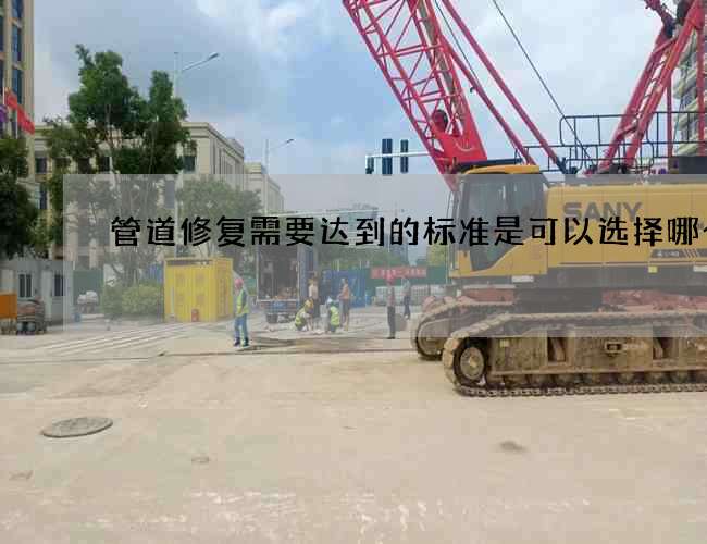 管道修复需要达到的标准是可以选择哪个 管道修复需要达到的标准是可以选择哪个