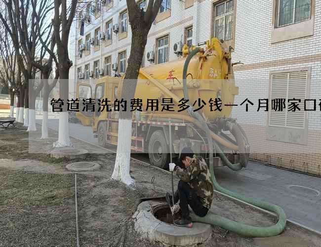 管道清洗的费用是多少钱一个月哪家口碑好