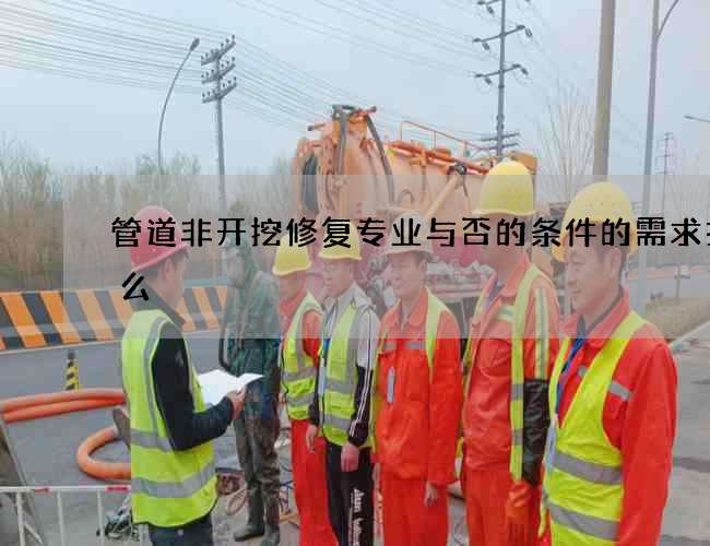 管道非开挖修复专业与否的条件的需求找什么