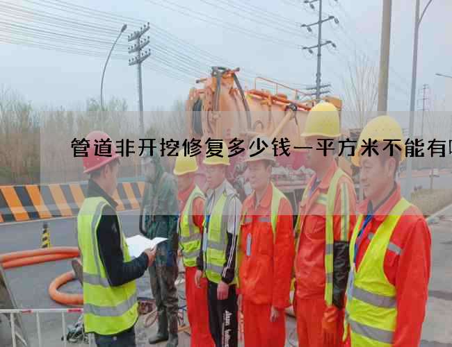 管道非开挖修复多少钱一平方米不能有哪些 管道非开挖修复多少钱一平方米不能有哪些