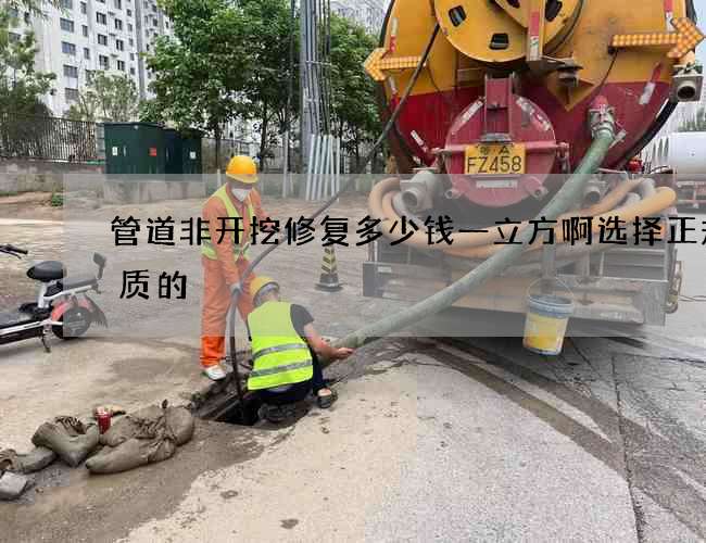 管道非开挖修复多少钱一立方啊选择正规优质的 管道非开挖修复多少钱一立方啊选择正规优质的