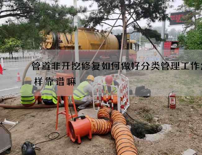 管道非开挖修复如何做好分类管理工作怎么样靠谱嘛
